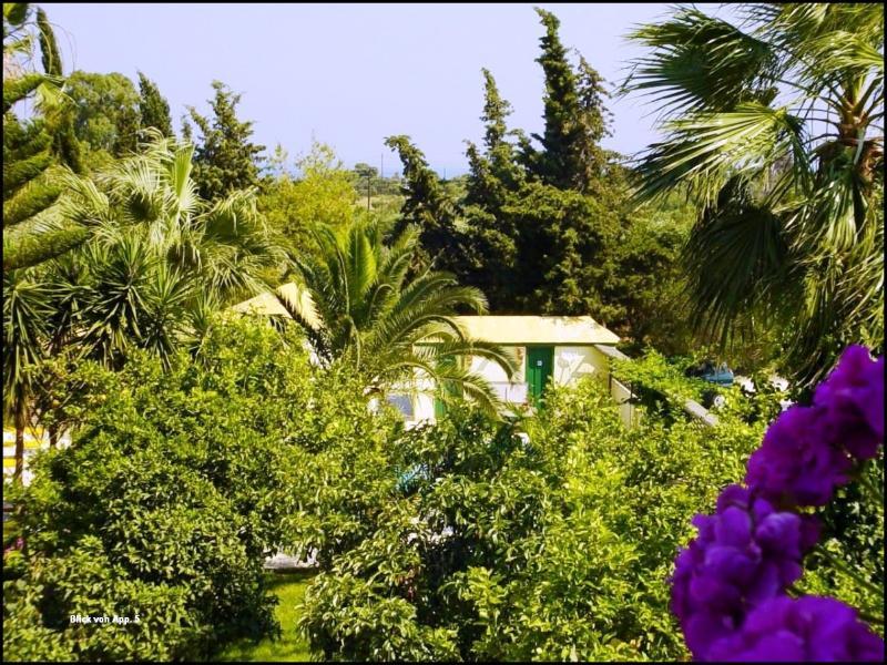Lemon Garden Otel Vasilikí Dış mekan fotoğraf
